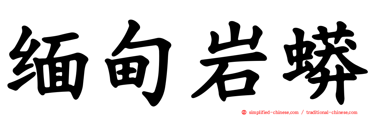 缅甸岩蟒