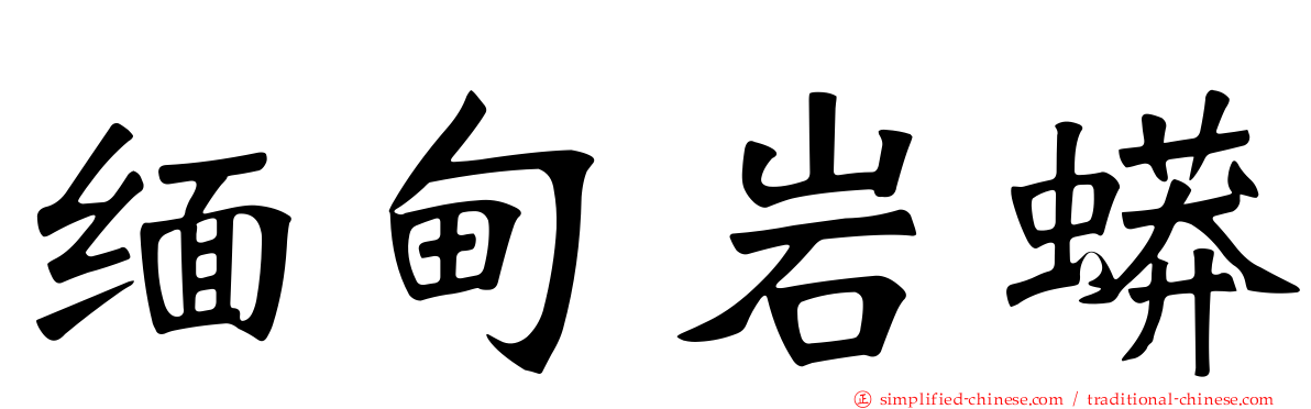 缅甸岩蟒