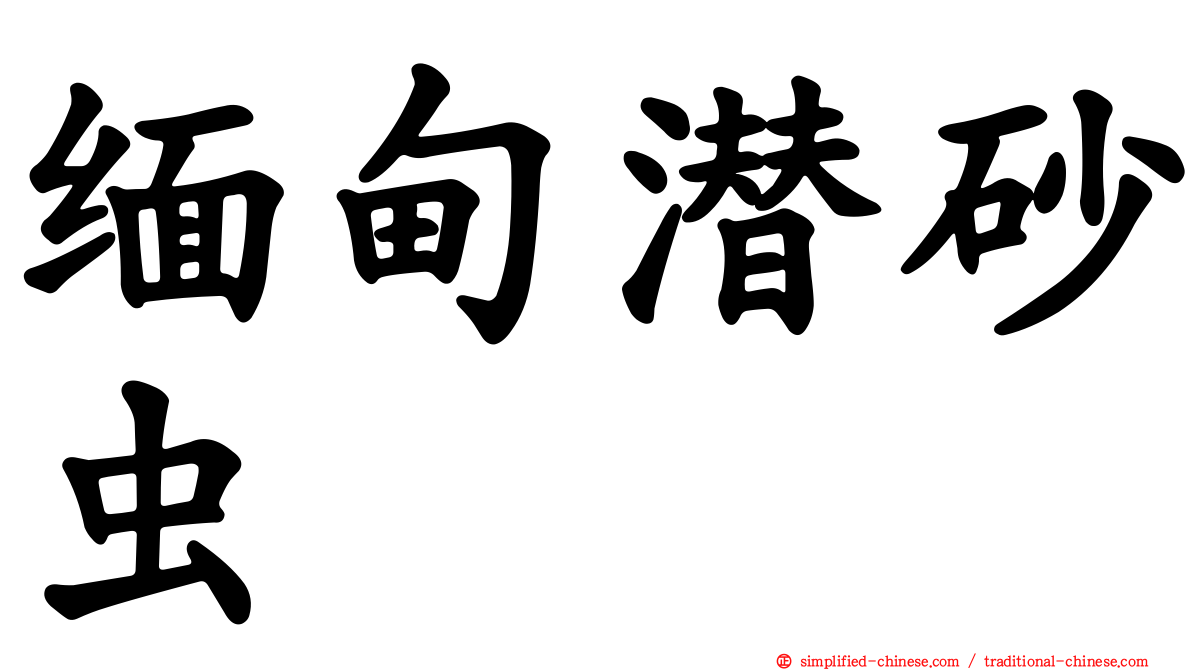 缅甸潜砂虫