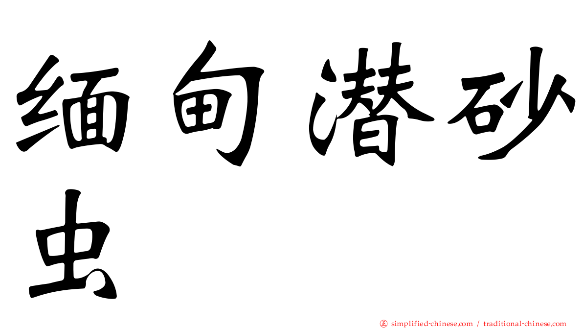 缅甸潜砂虫