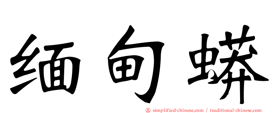 缅甸蟒