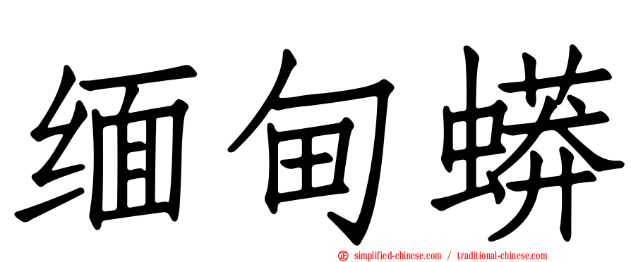 缅甸蟒
