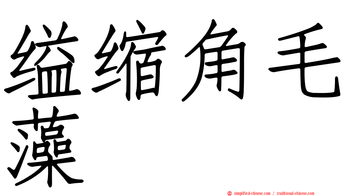 缢缩角毛藻