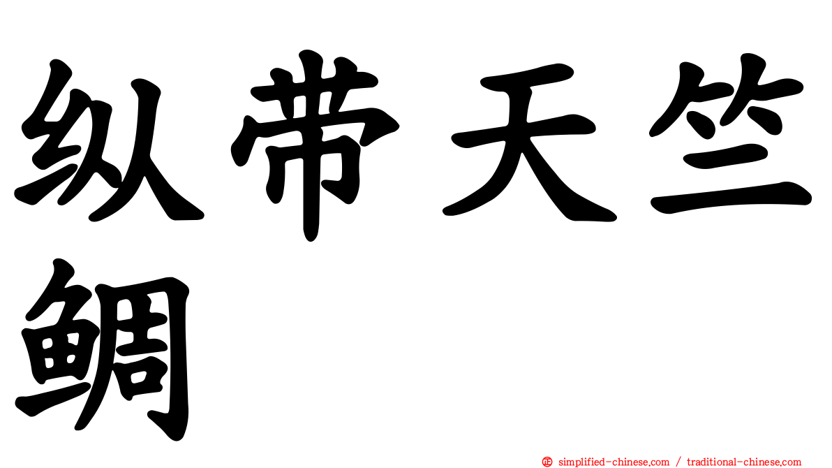 纵带天竺鲷