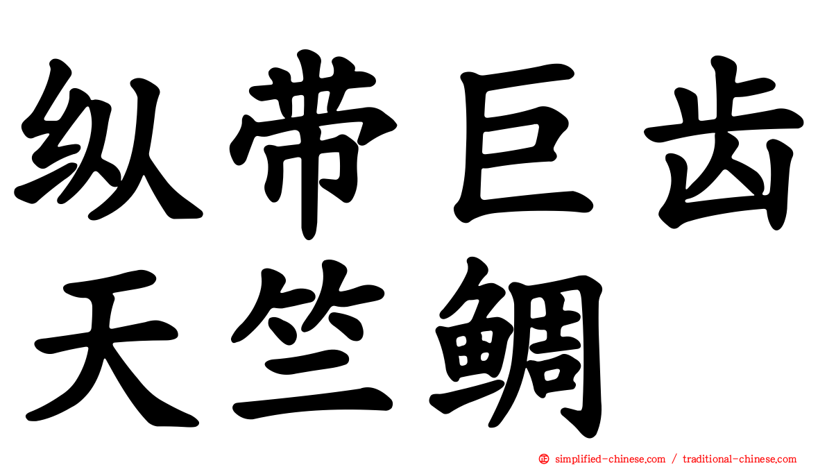 纵带巨齿天竺鲷
