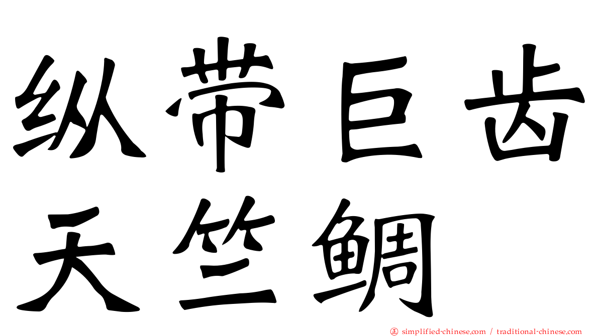 纵带巨齿天竺鲷