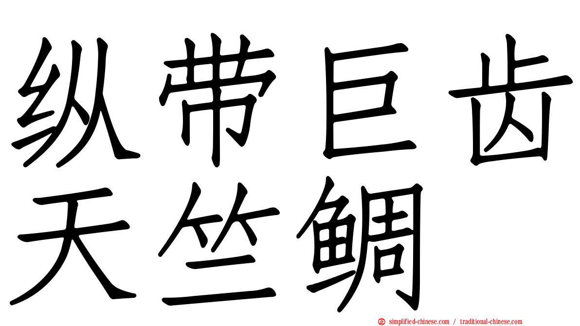 纵带巨齿天竺鲷