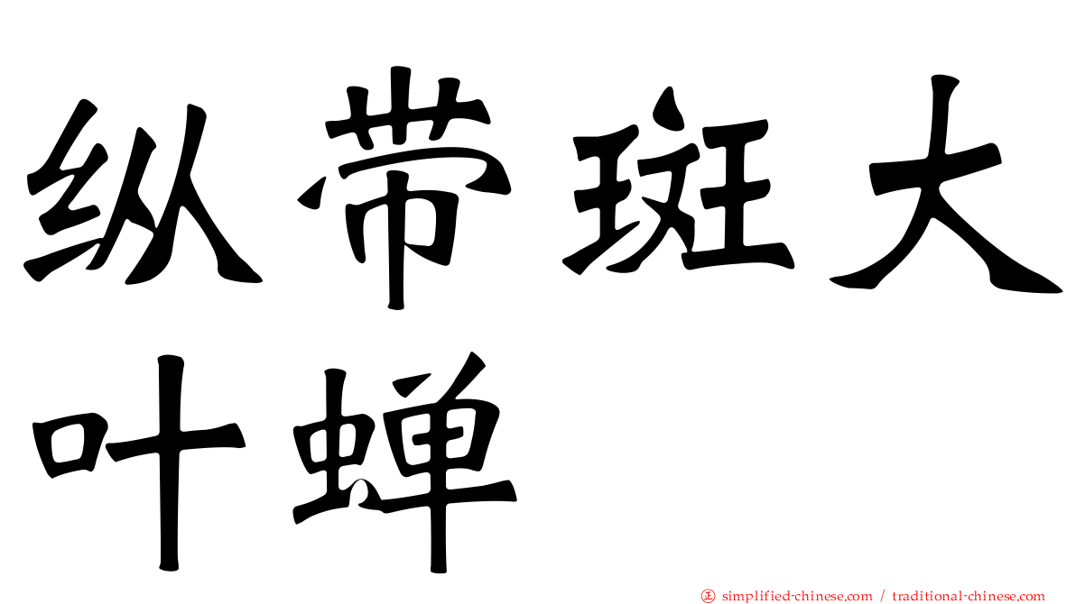 纵带斑大叶蝉