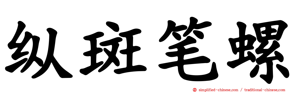 纵斑笔螺