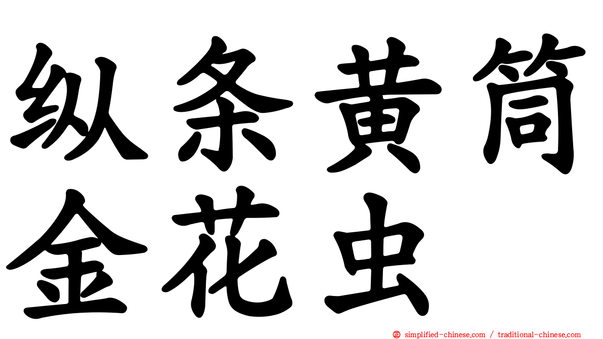 纵条黄筒金花虫