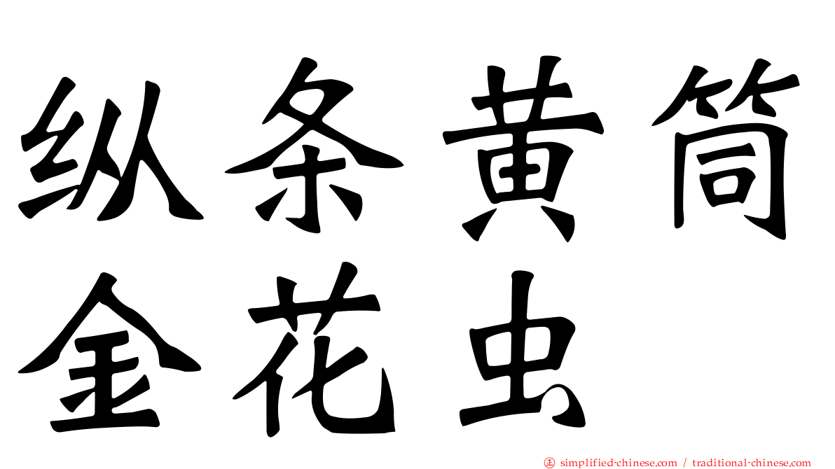 纵条黄筒金花虫