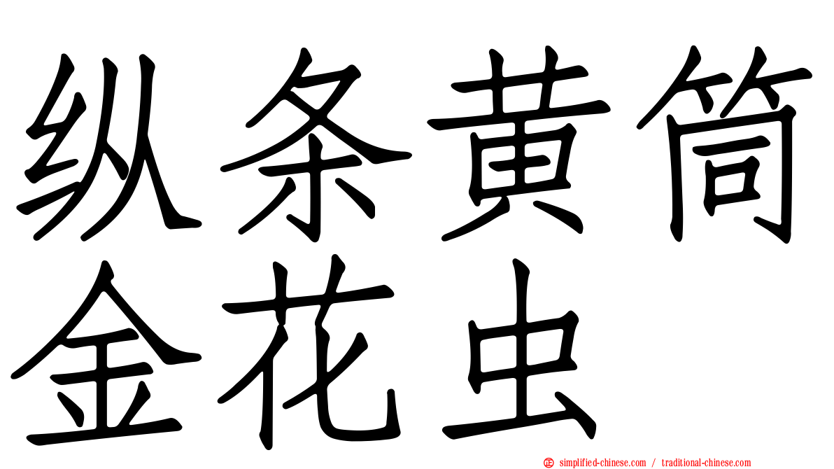 纵条黄筒金花虫