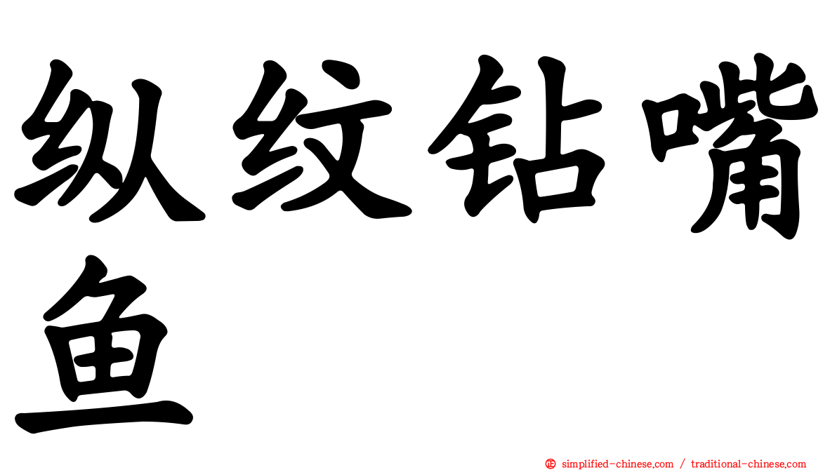 纵纹钻嘴鱼