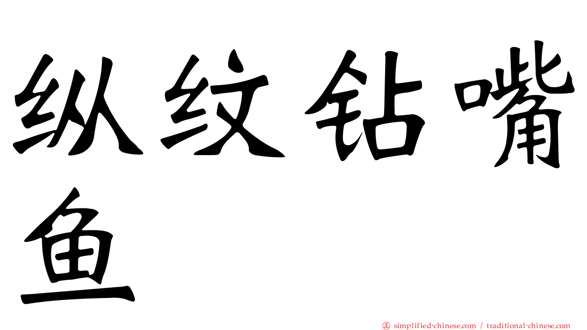 纵纹钻嘴鱼
