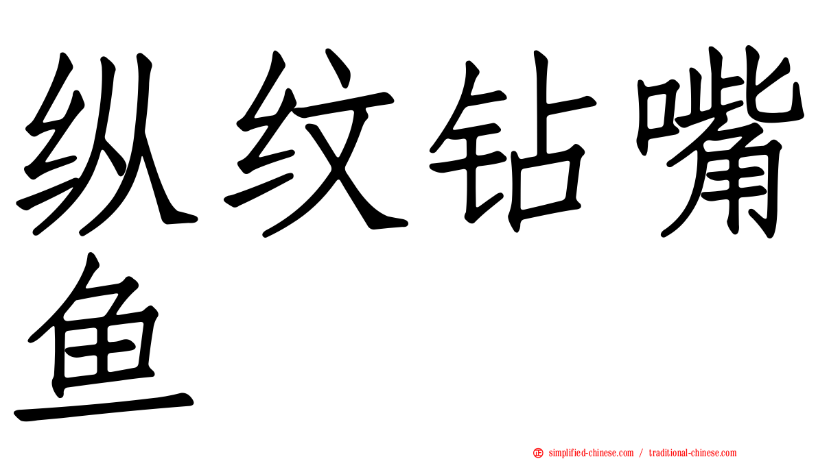 纵纹钻嘴鱼