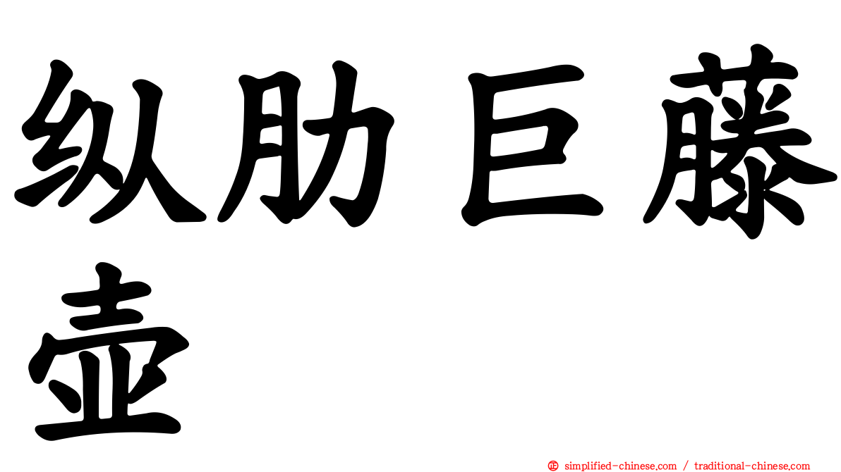 纵肋巨藤壶