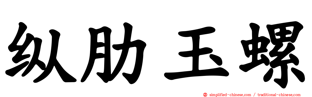 纵肋玉螺
