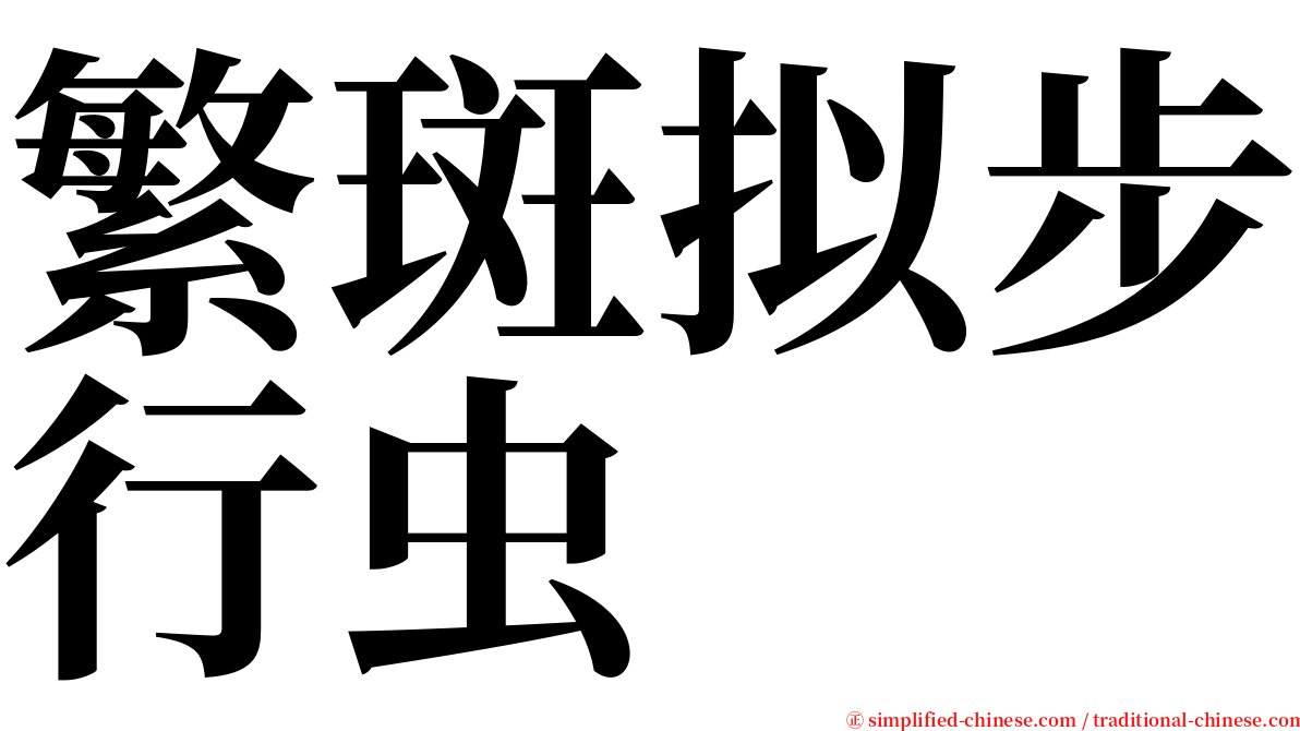 繁斑拟步行虫 serif font