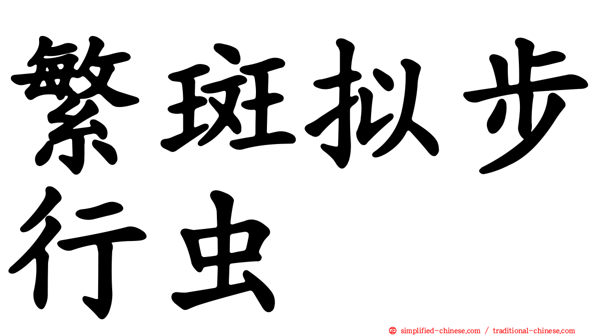 繁斑拟步行虫