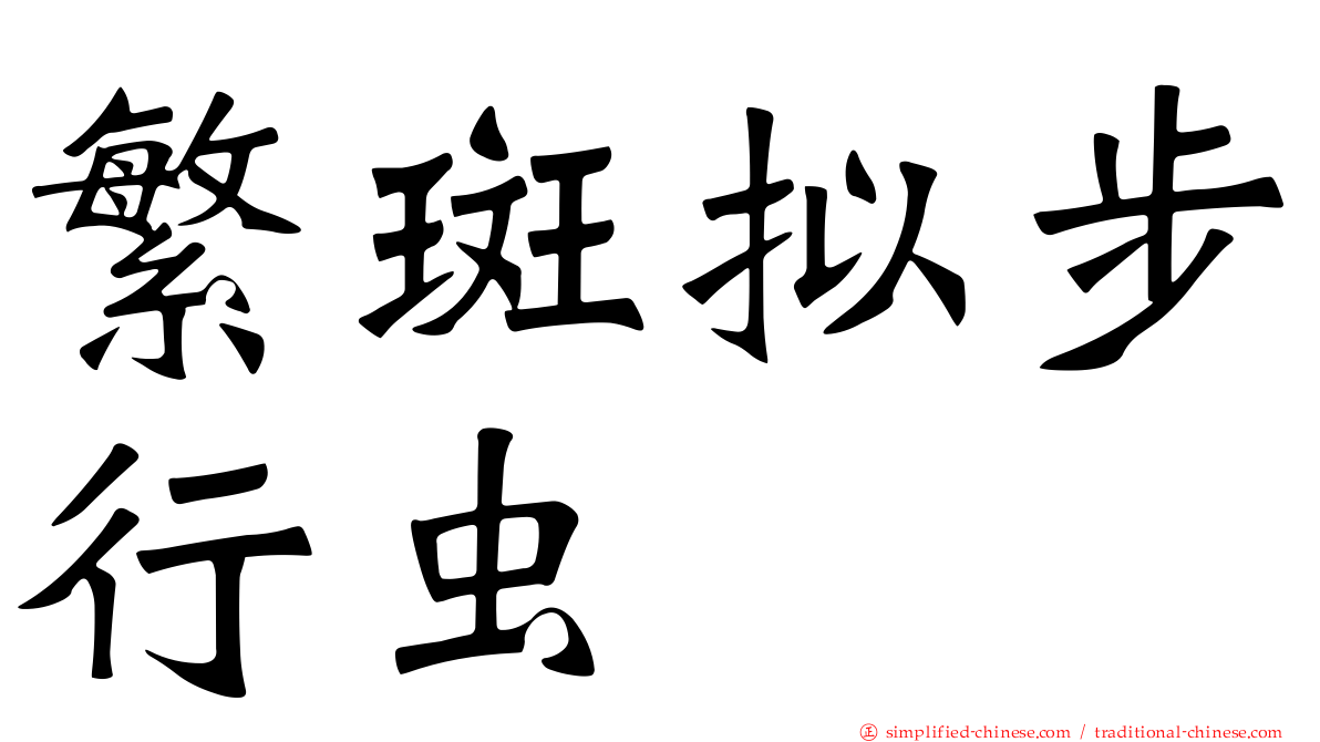 繁斑拟步行虫