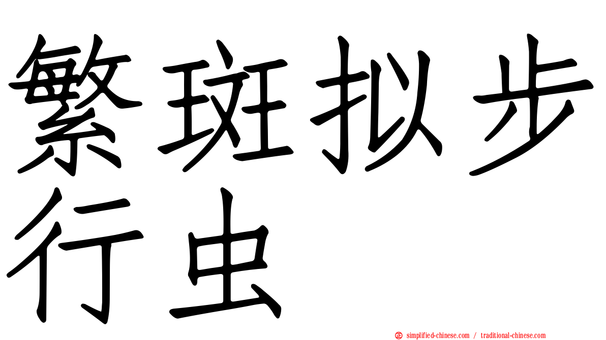 繁斑拟步行虫