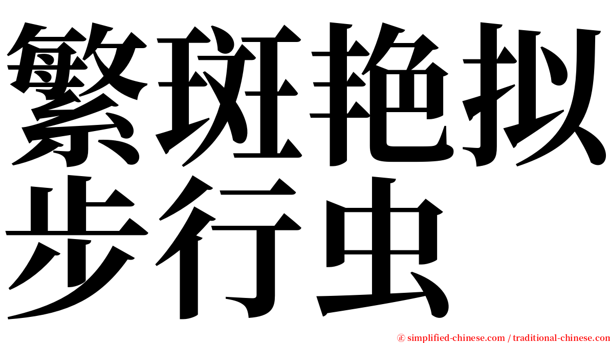 繁斑艳拟步行虫 serif font