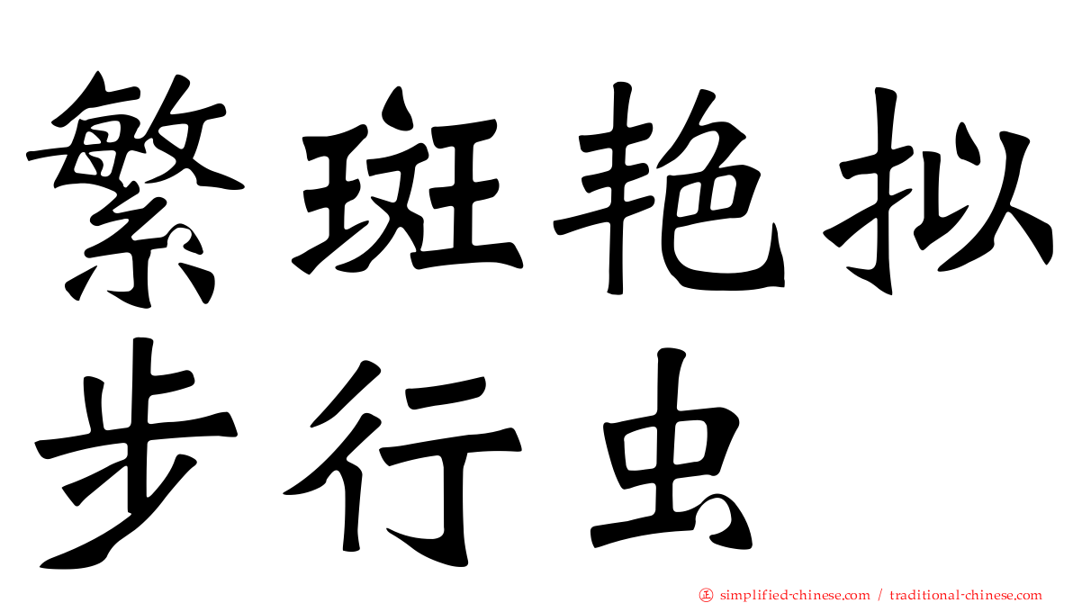 繁斑艳拟步行虫