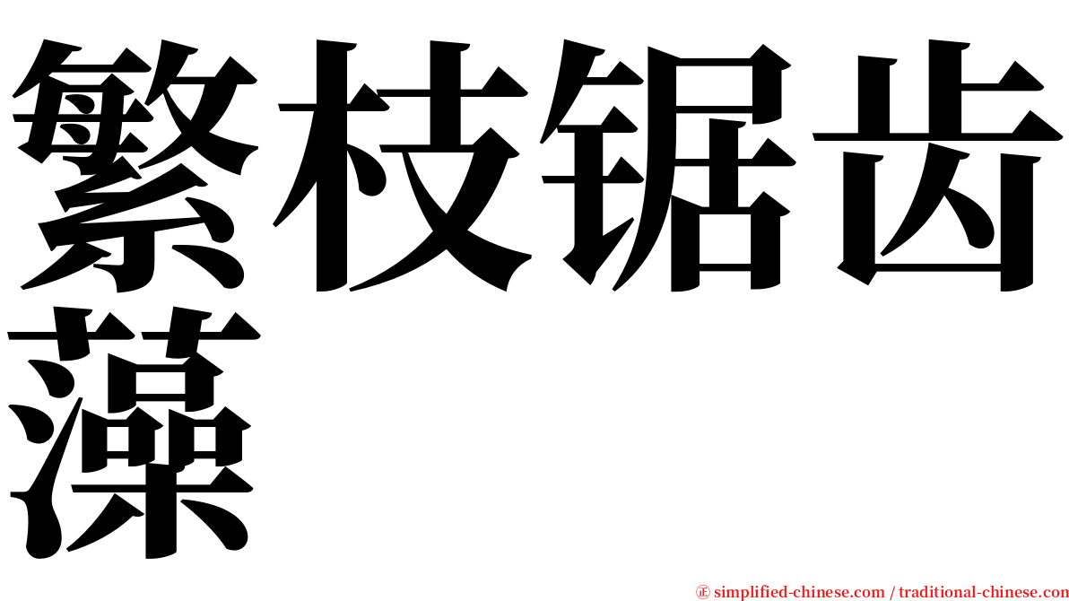 繁枝锯齿藻 serif font