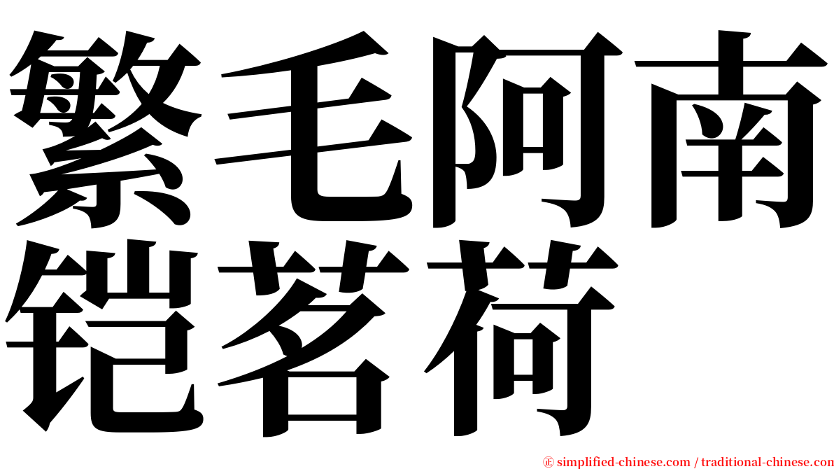 繁毛阿南铠茗荷 serif font