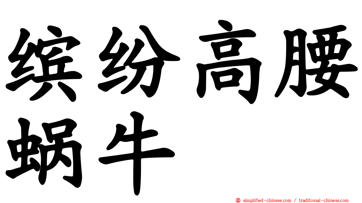 缤纷高腰蜗牛