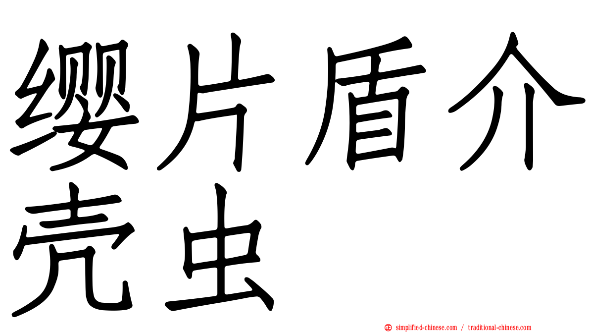 缨片盾介壳虫