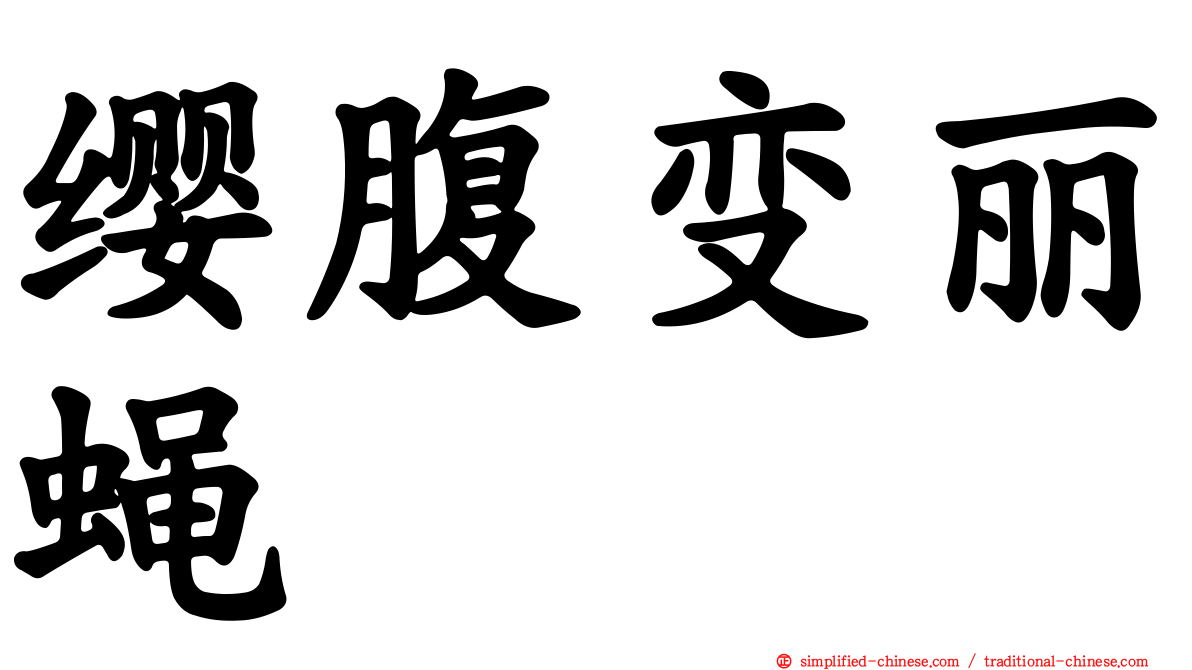 缨腹变丽蝇