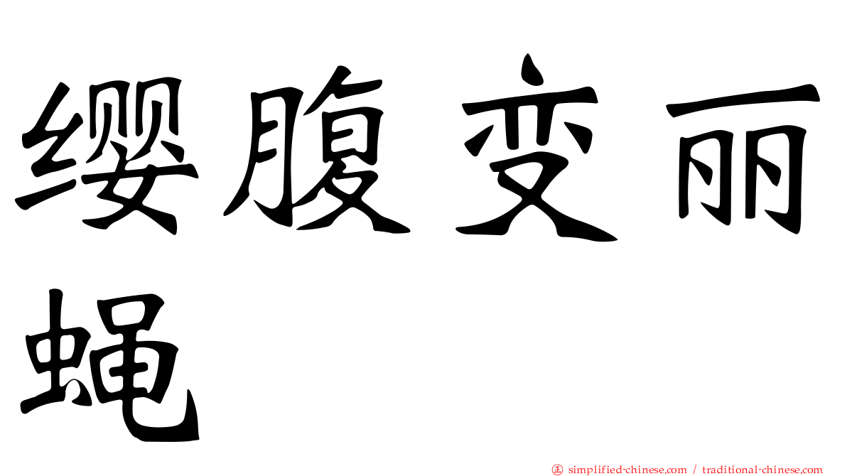 缨腹变丽蝇