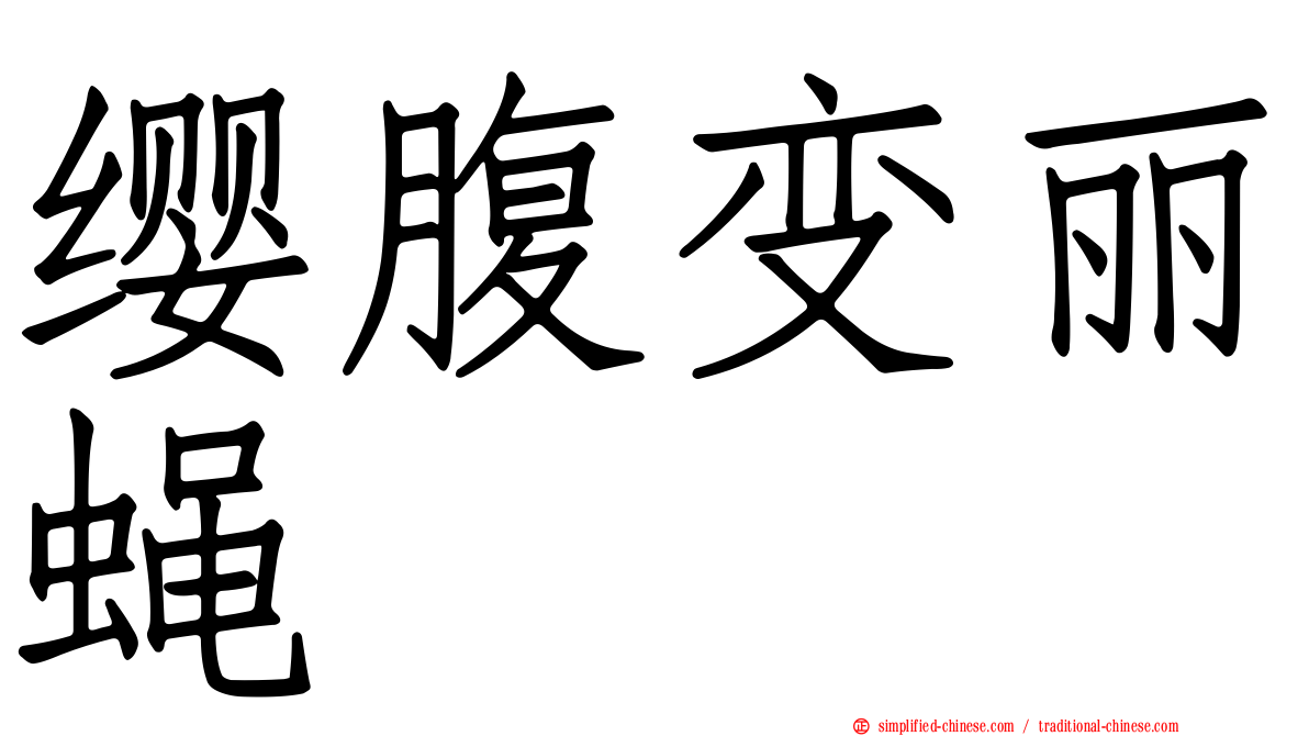 缨腹变丽蝇