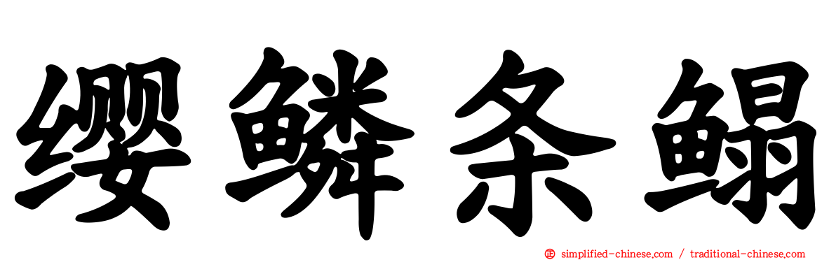 缨鳞条鳎
