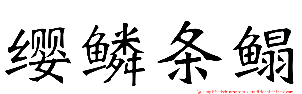 缨鳞条鳎