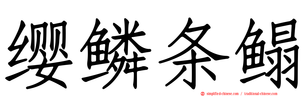 缨鳞条鳎