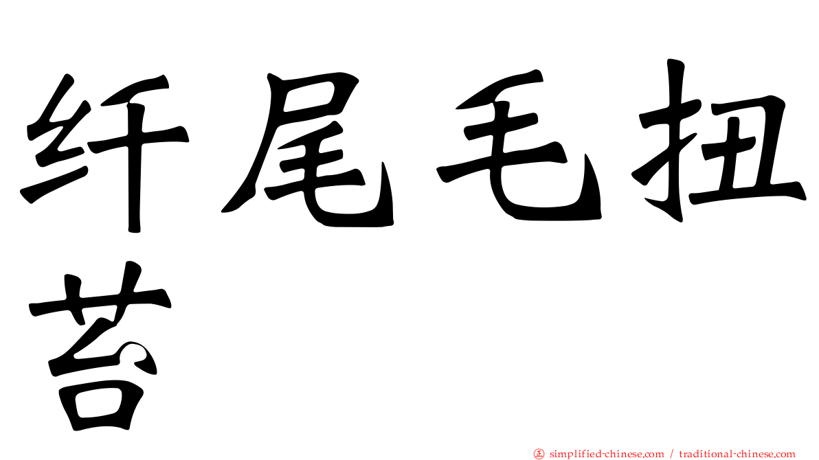 纤尾毛扭苔