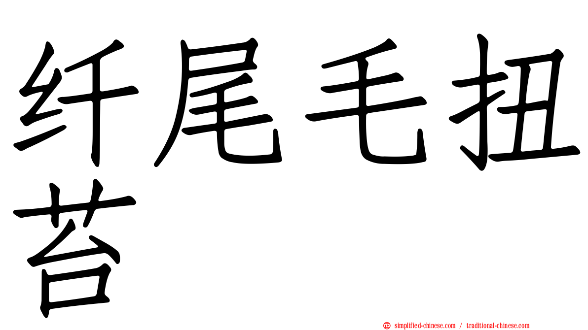 纤尾毛扭苔