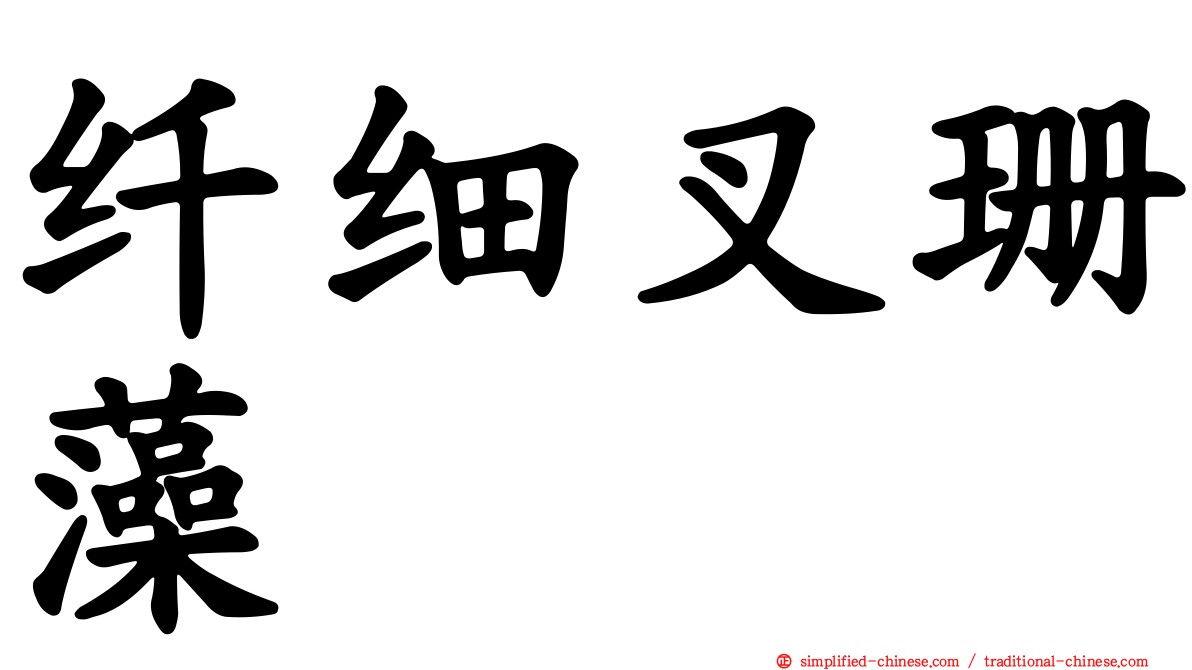 纤细叉珊藻