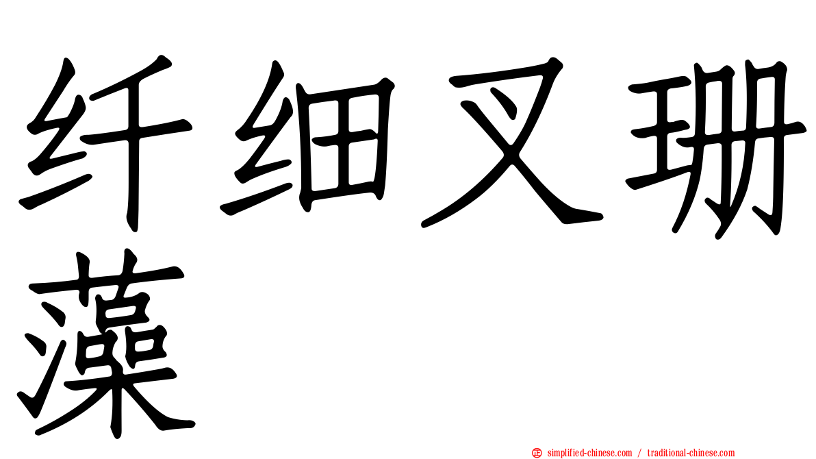 纤细叉珊藻