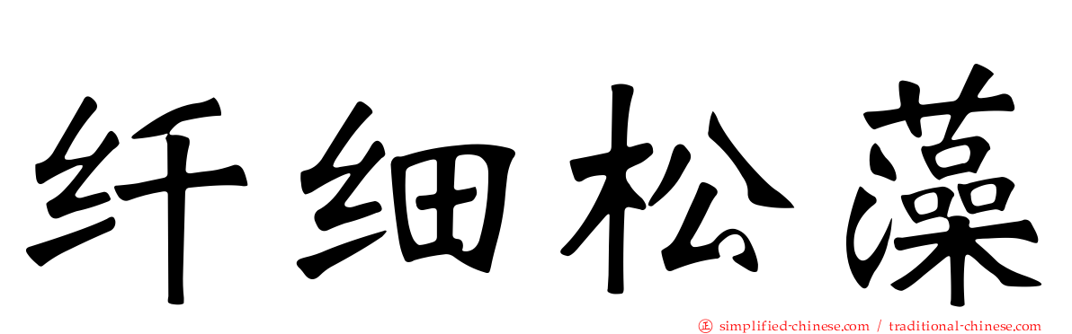纤细松藻