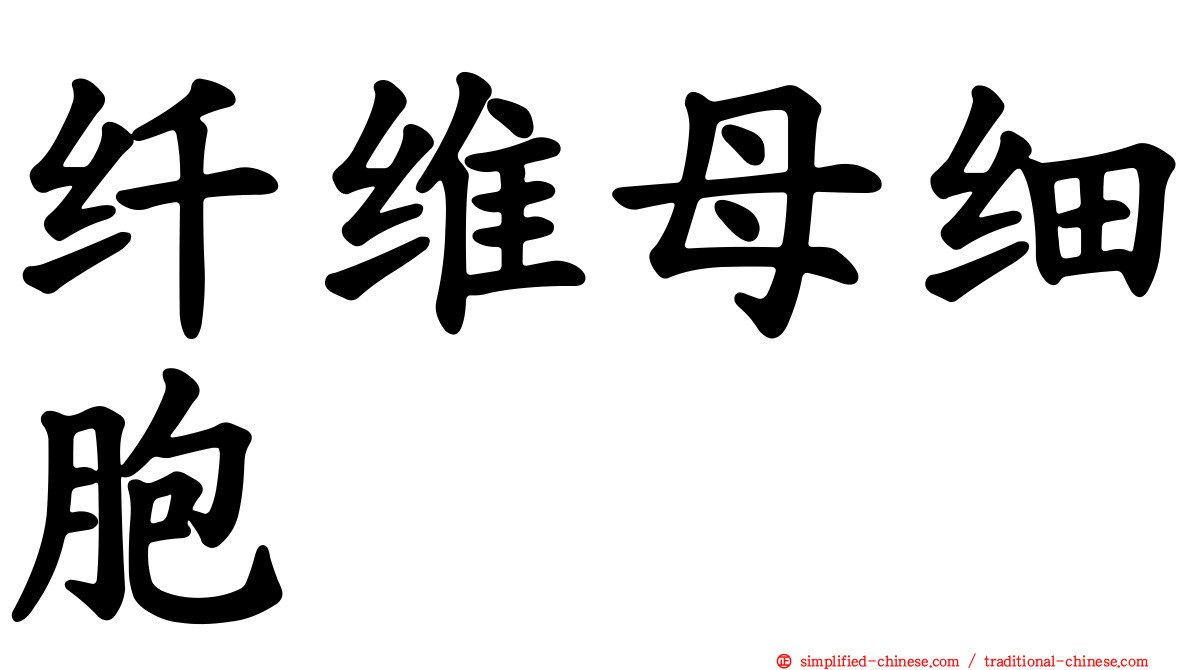 纤维母细胞