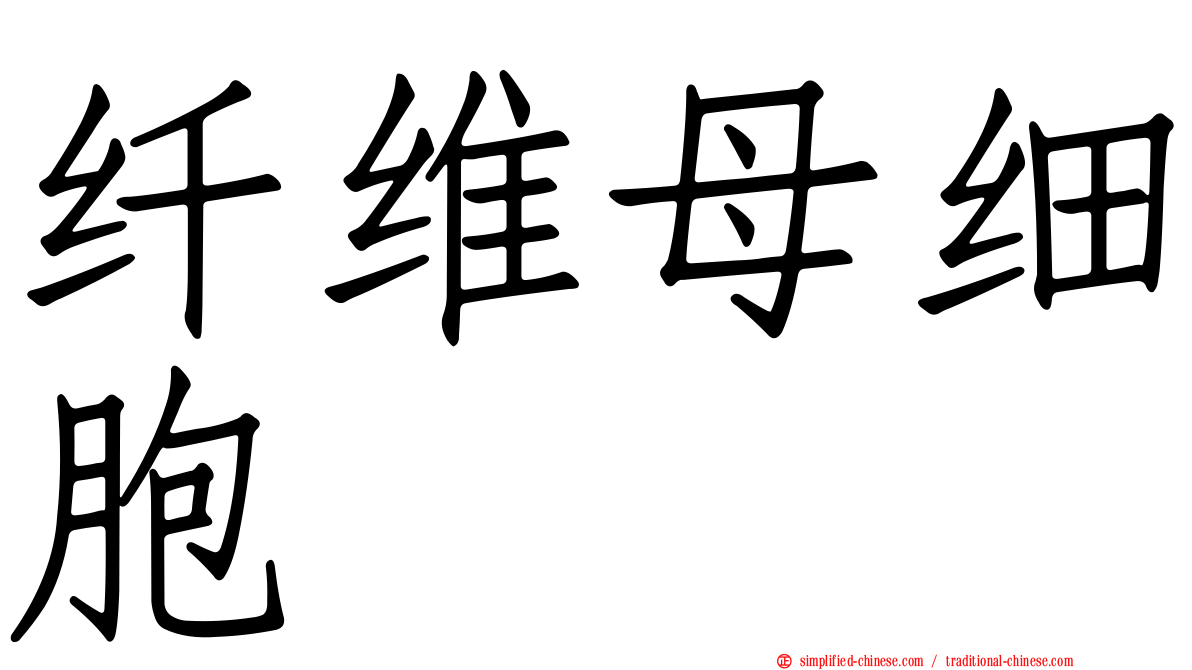 纤维母细胞
