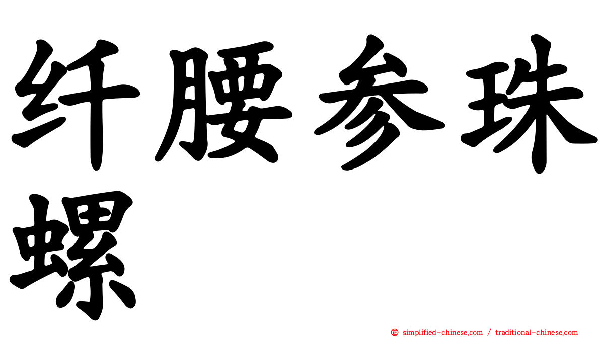 纤腰参珠螺