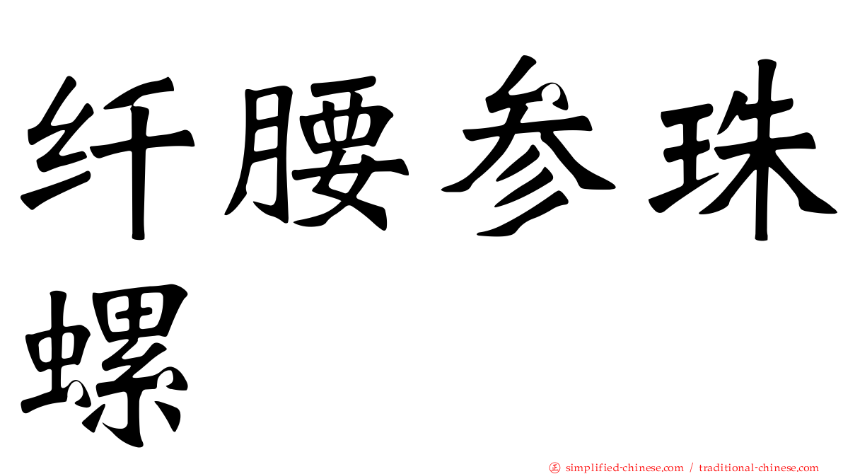 纤腰参珠螺