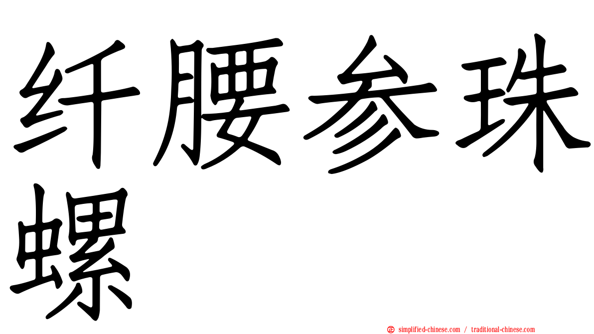 纤腰参珠螺