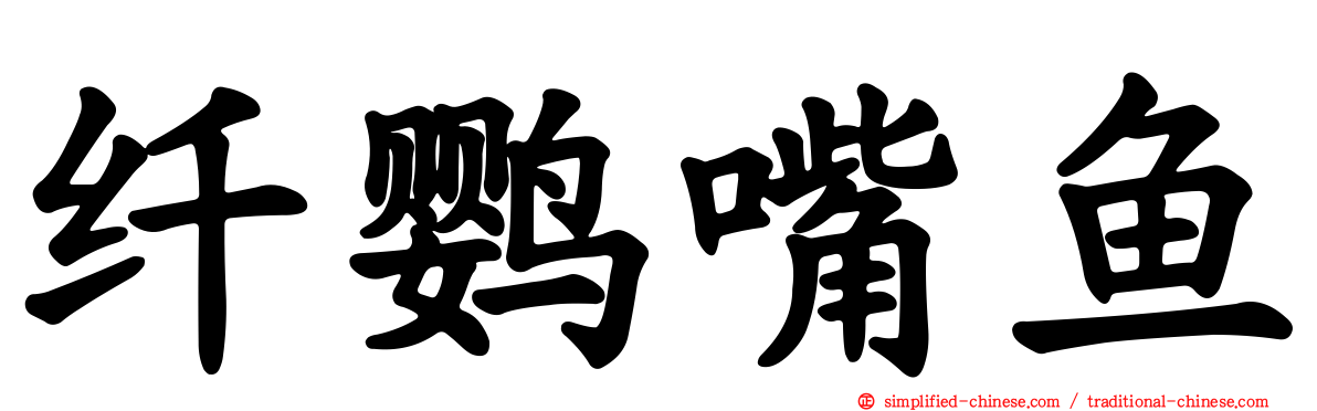 纤鹦嘴鱼