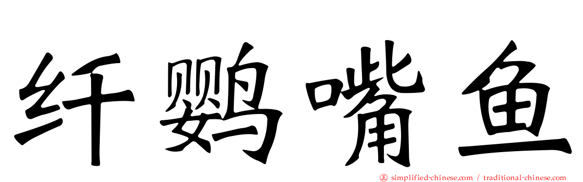 纤鹦嘴鱼