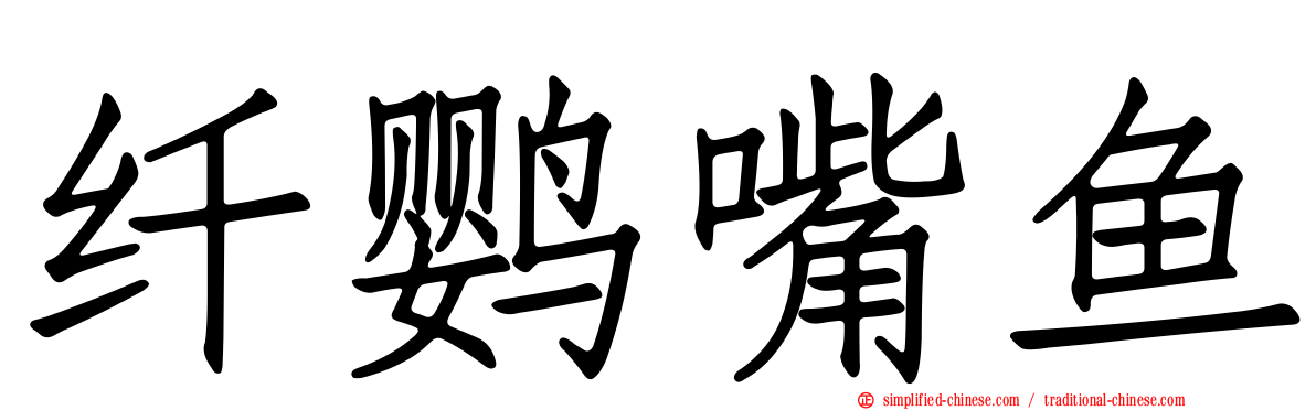 纤鹦嘴鱼